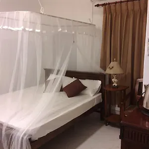 https://shady-grove-by-taprobane.negombohotels.net